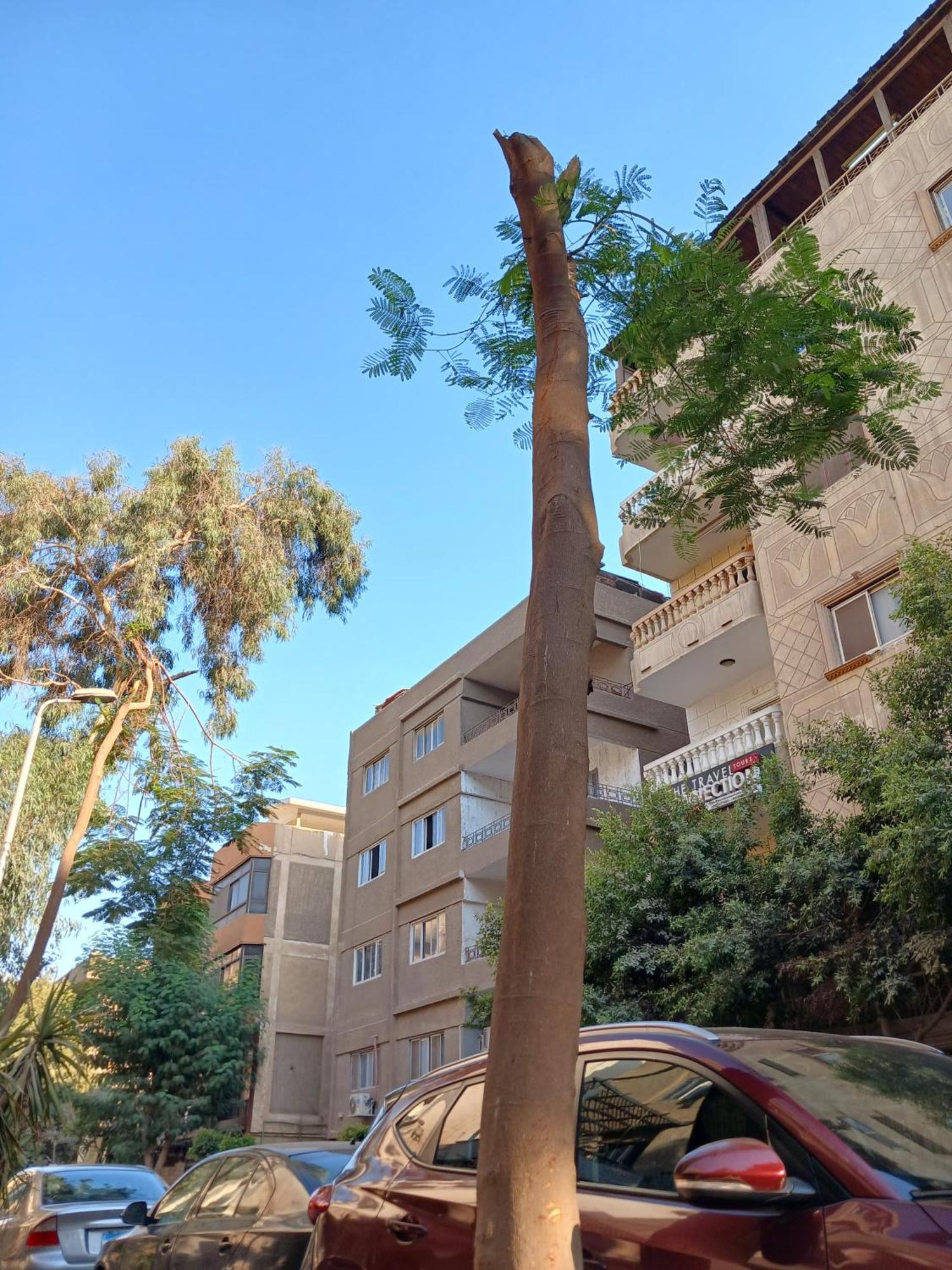 Pyramids Way Inn Kafret el-Gabal Εξωτερικό φωτογραφία